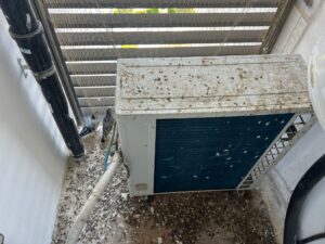 ניקוי לשלשת יונים וחיטוי