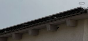 הרחקת יונים מפאנלים סולאריים