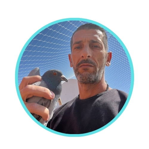 הרחקת יונים מגג רעפים ומערכת ניקוז