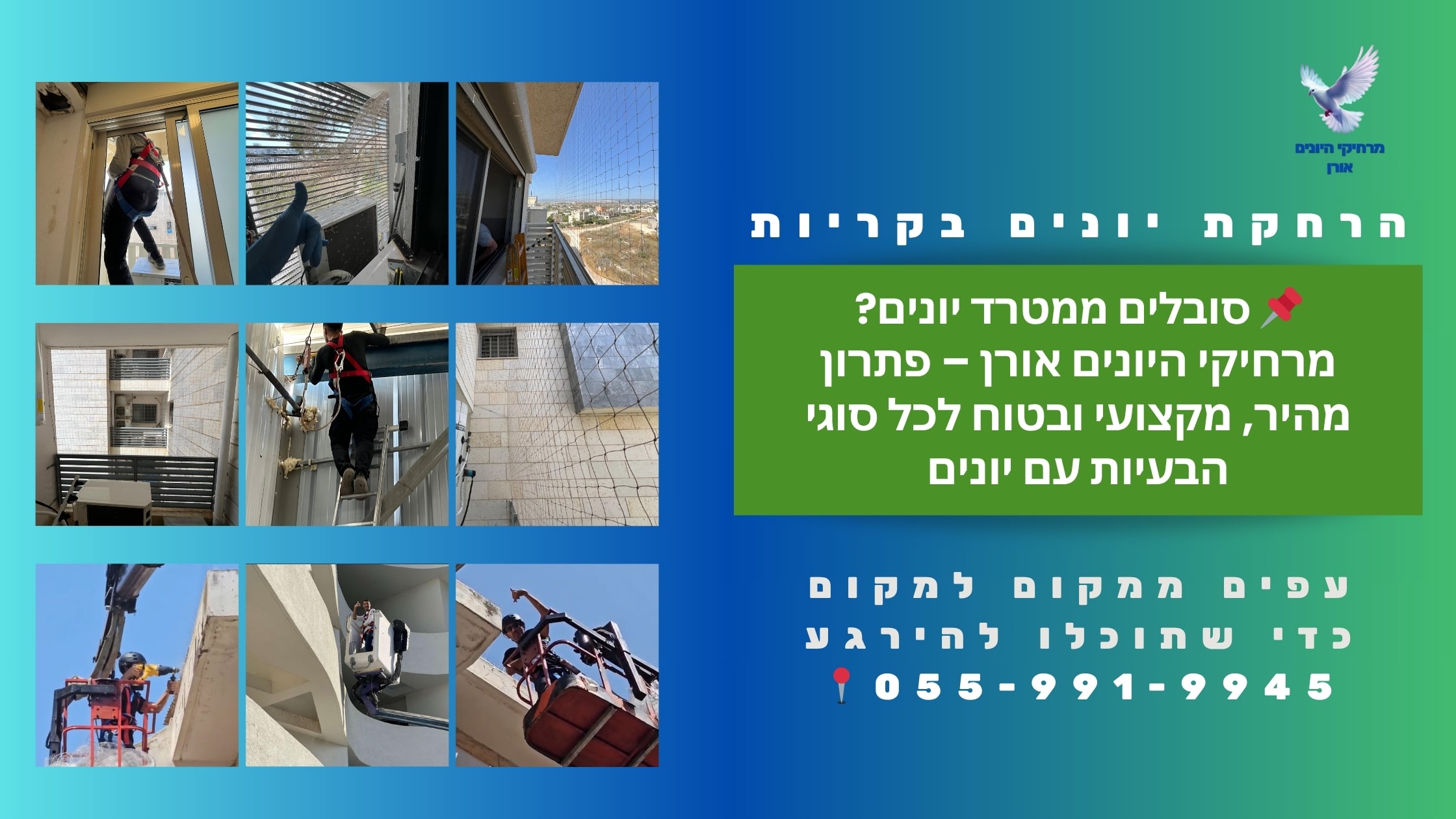 הרחקת יונים בקריות